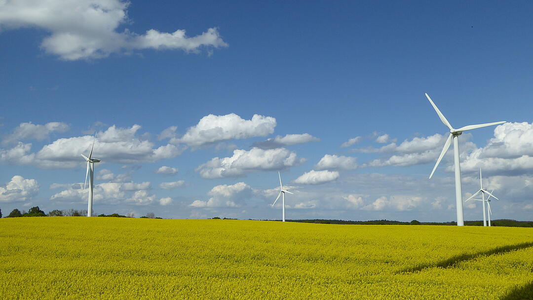 Fünf Windenergieanlagen auf einem Rapsfeld vor blauem Himmel und Wolken.