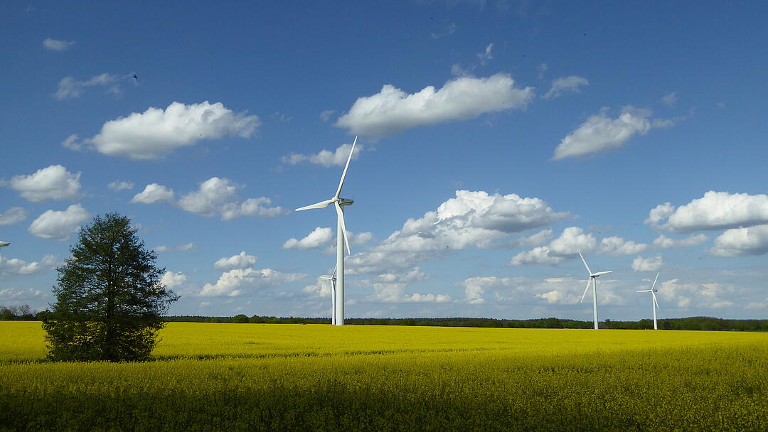 Four wind turbines behind a rapeseed field against a blue sky and clouds.